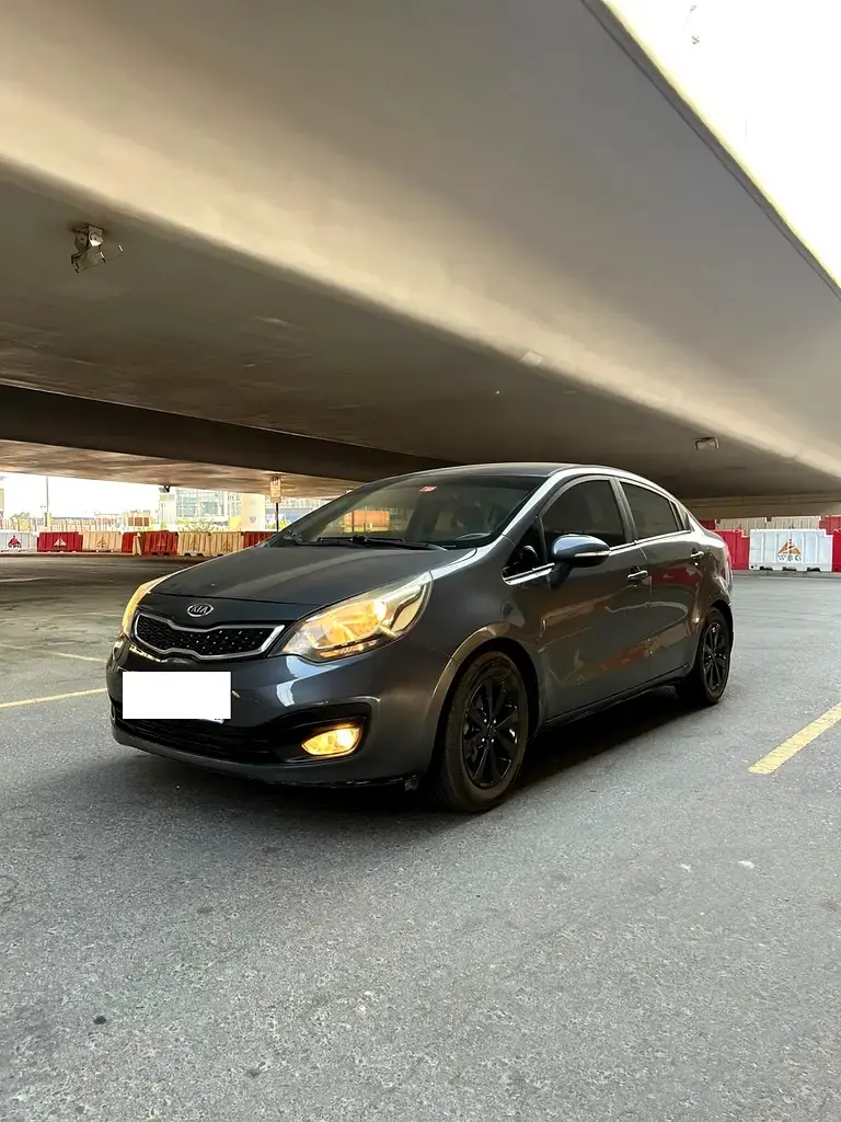 2014 Kia Rio