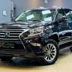 2014 Lexus GX-Series GX 460 Platinum